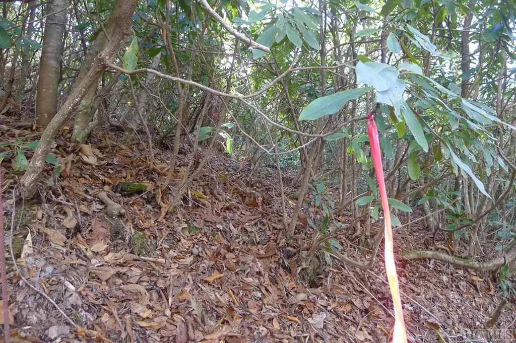 000 Walnut Gap Road Cullowhee NC 28717