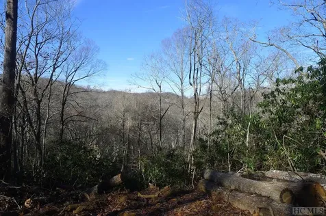 000 Walnut Gap Road Cullowhee NC 28717
