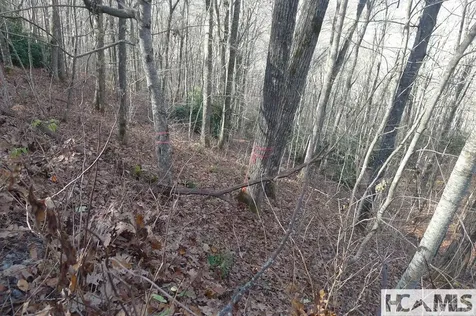 000 Walnut Gap Road Cullowhee NC 28717