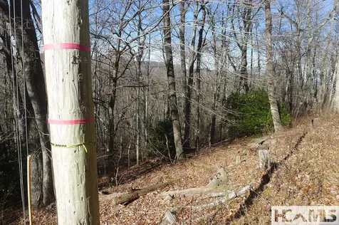000 Walnut Gap Road Cullowhee NC 28717