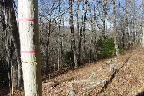 000 Walnut Gap Road Cullowhee NC 28717