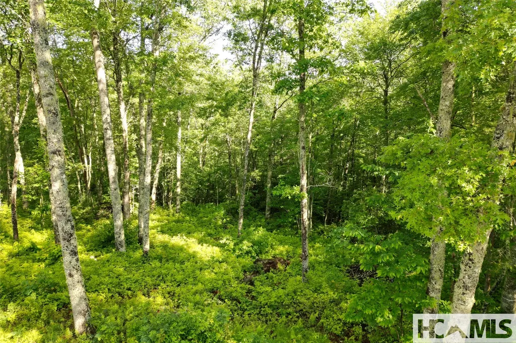 Lot C7 Snowcrest Drive Glenville NC 28736