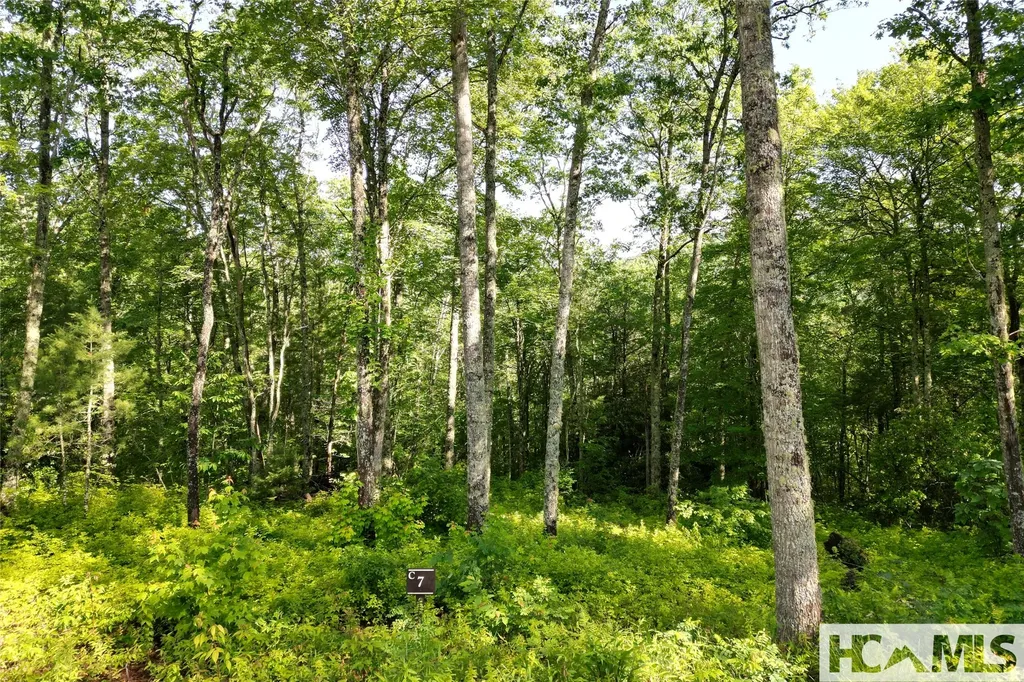 Lot C7 Snowcrest Drive Glenville NC 28736