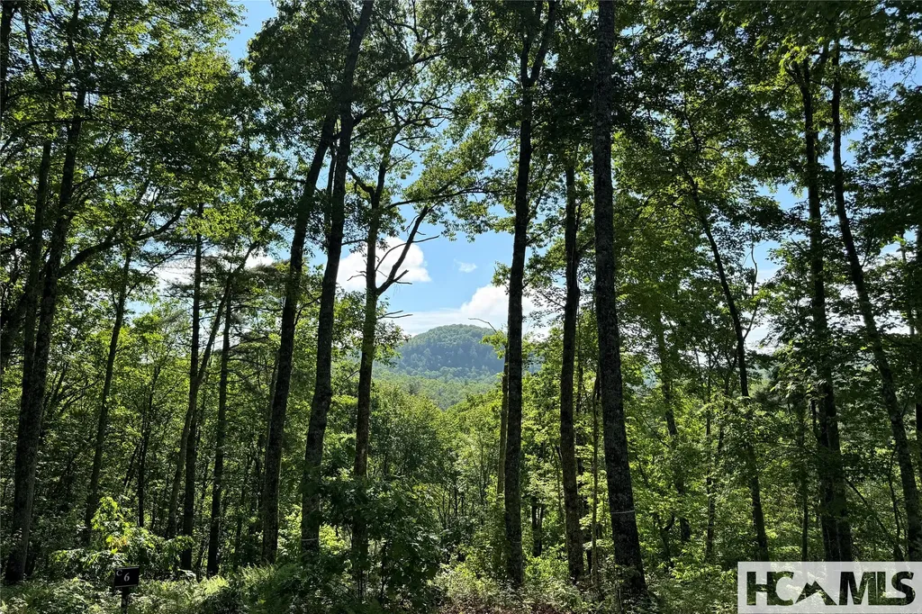 Lot C7 Snowcrest Drive Glenville NC 28736