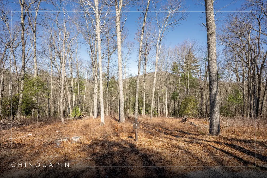 Lot C7 Snowcrest Drive Glenville NC 28736