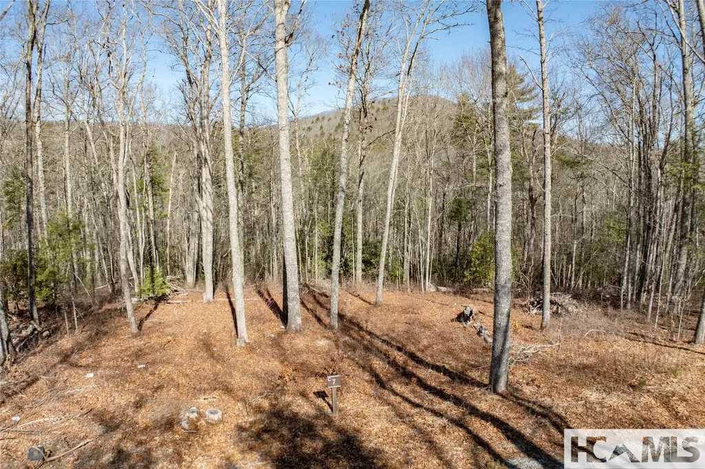 Lot C7 Snowcrest Drive Glenville NC 28736