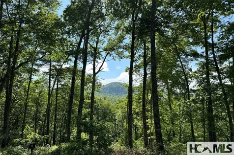 Lot C7 Snowcrest Drive Glenville NC 28736