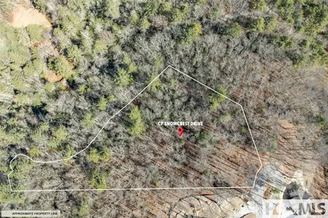 Lot C7 Snowcrest Drive Glenville NC 28736