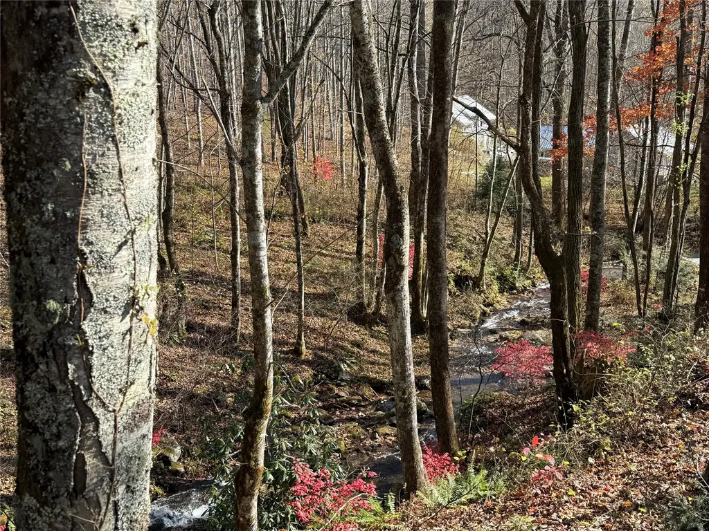 2094 Fisher Creek Road Sylva NC 28779