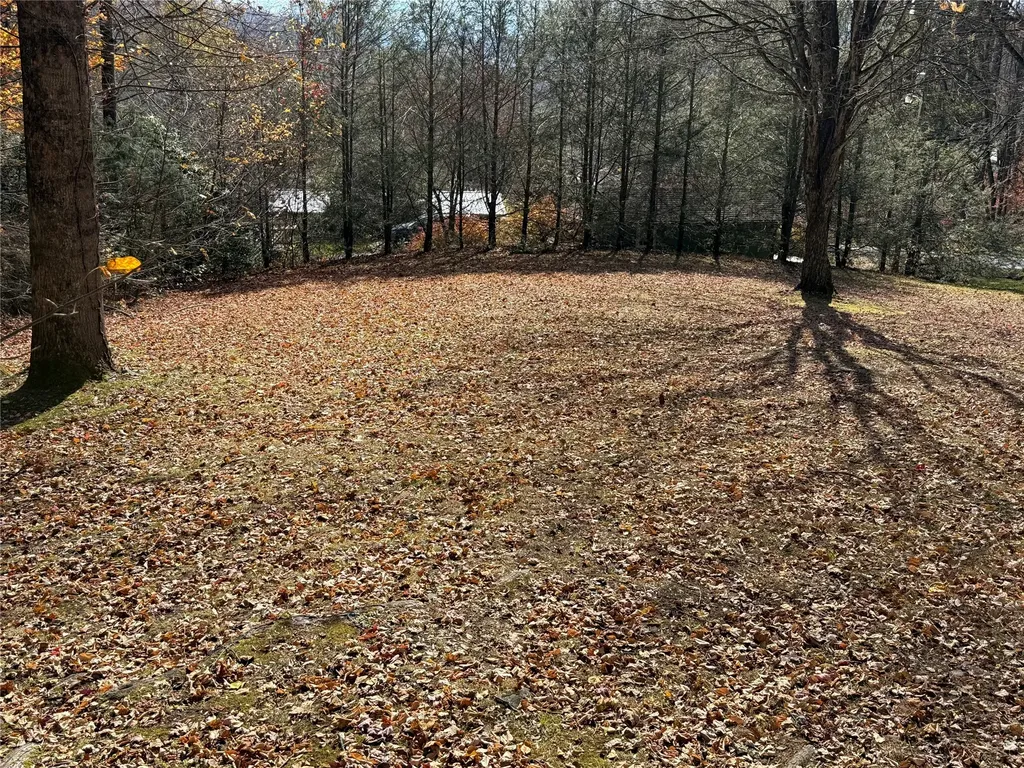 2094 Fisher Creek Road Sylva NC 28779