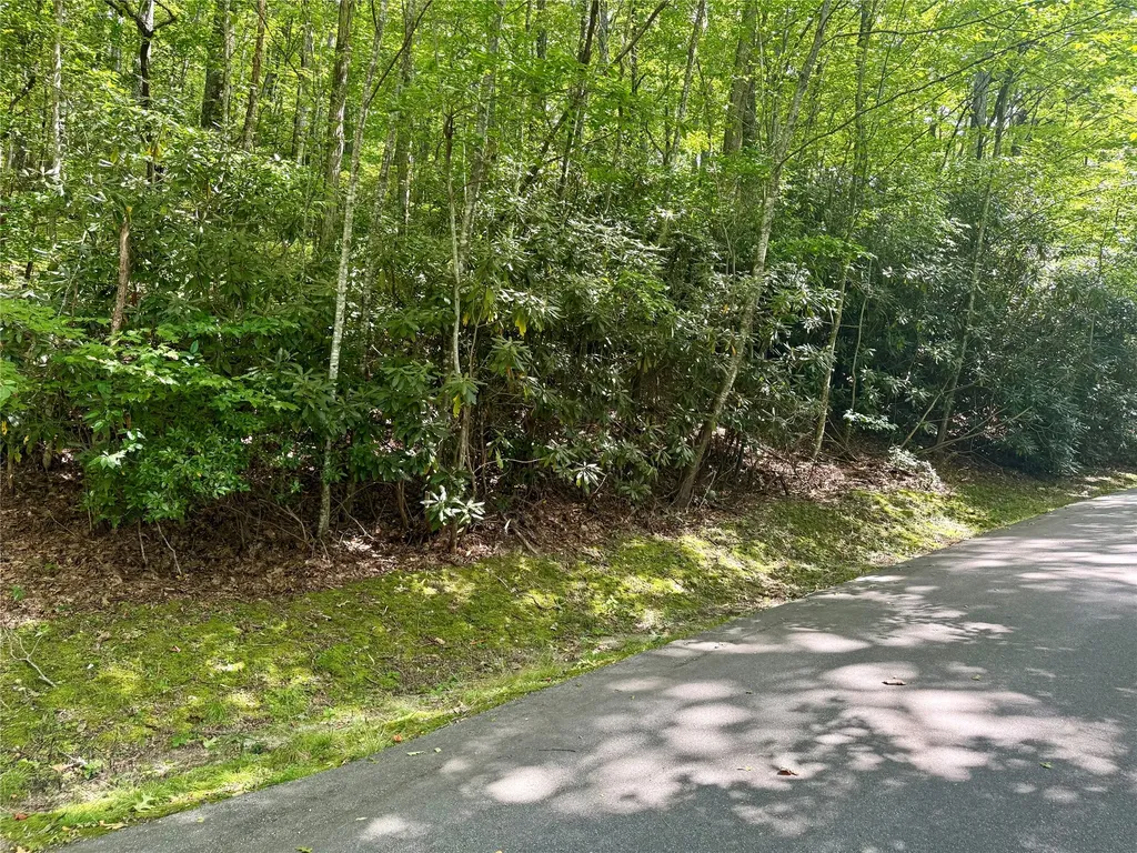 115 Black Oak Drive Sapphire NC 28774