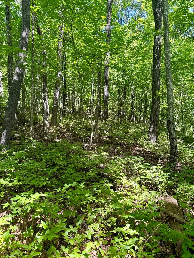 115 Black Oak Drive Sapphire NC 28774