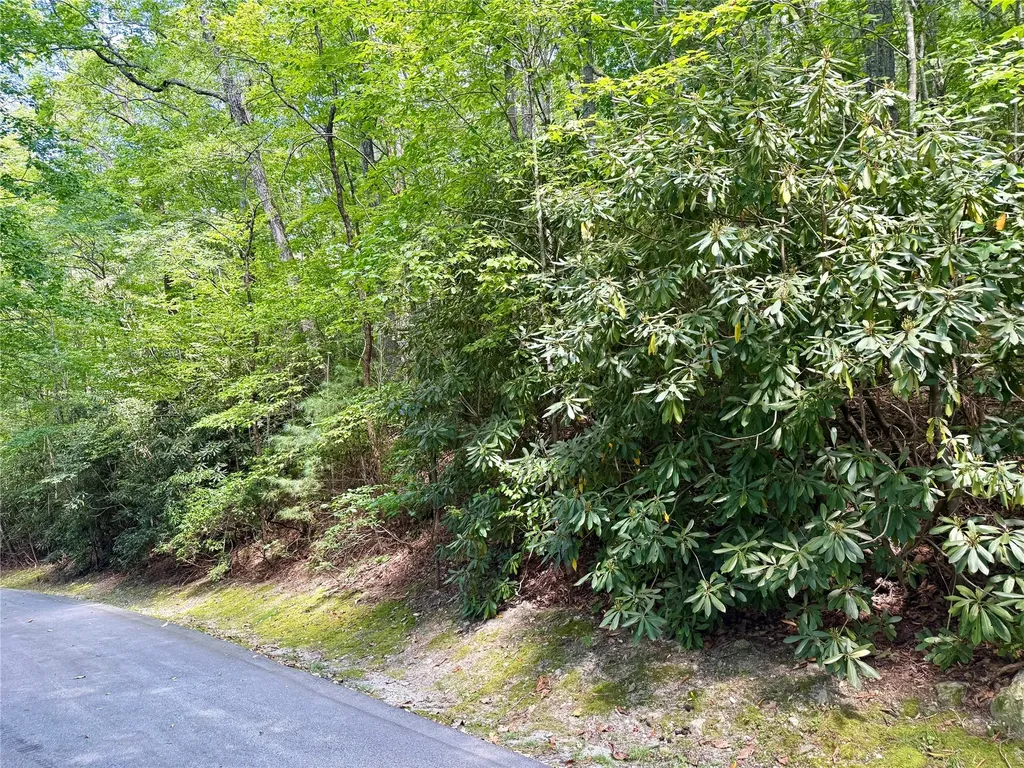 115 Black Oak Drive Sapphire NC 28774