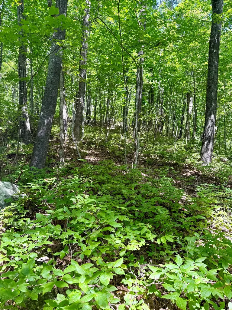 115 Black Oak Drive Sapphire NC 28774