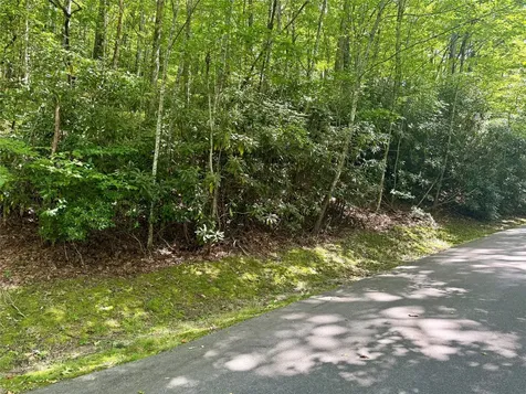 115 Black Oak Drive Sapphire NC 28774