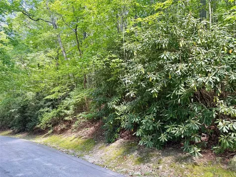 115 Black Oak Drive Sapphire NC 28774