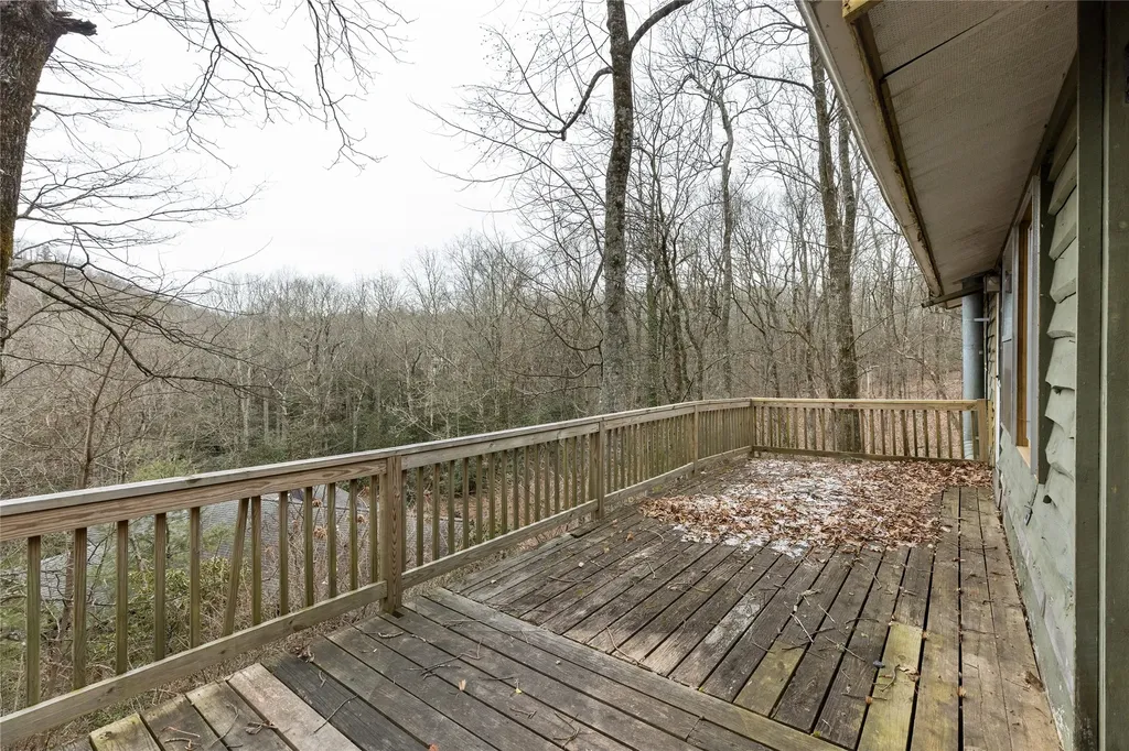 111 Wrights Road Scaly Mountain NC 28775