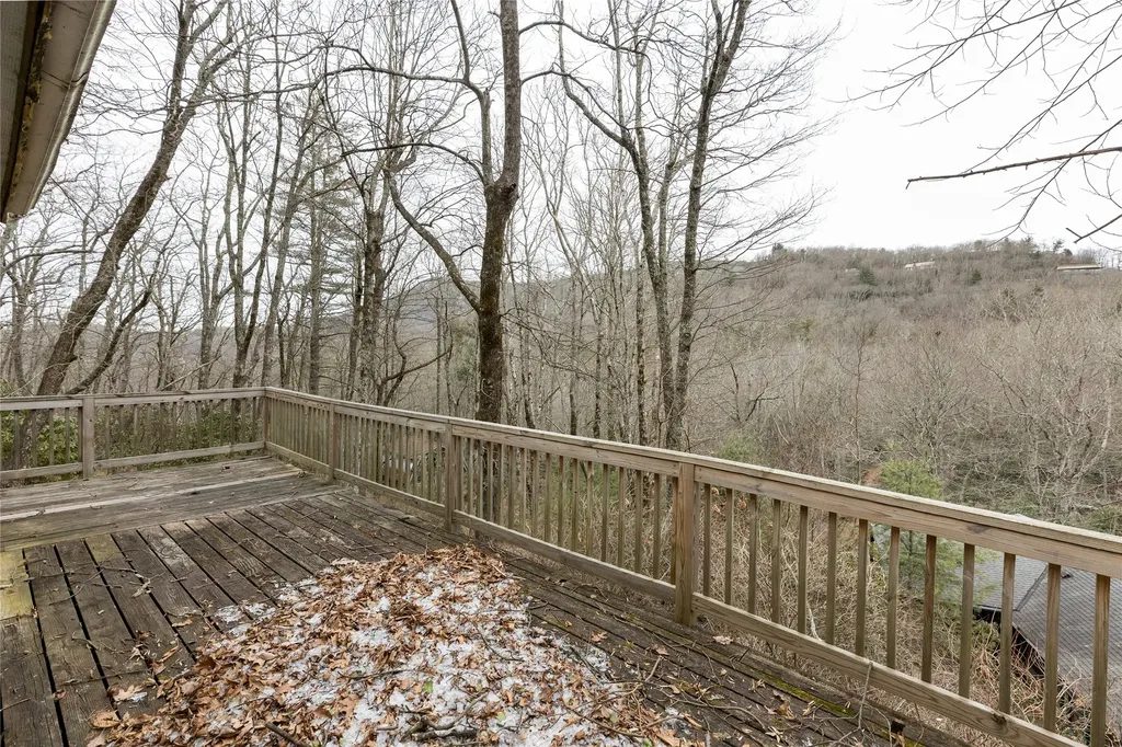 111 Wrights Road Scaly Mountain NC 28775