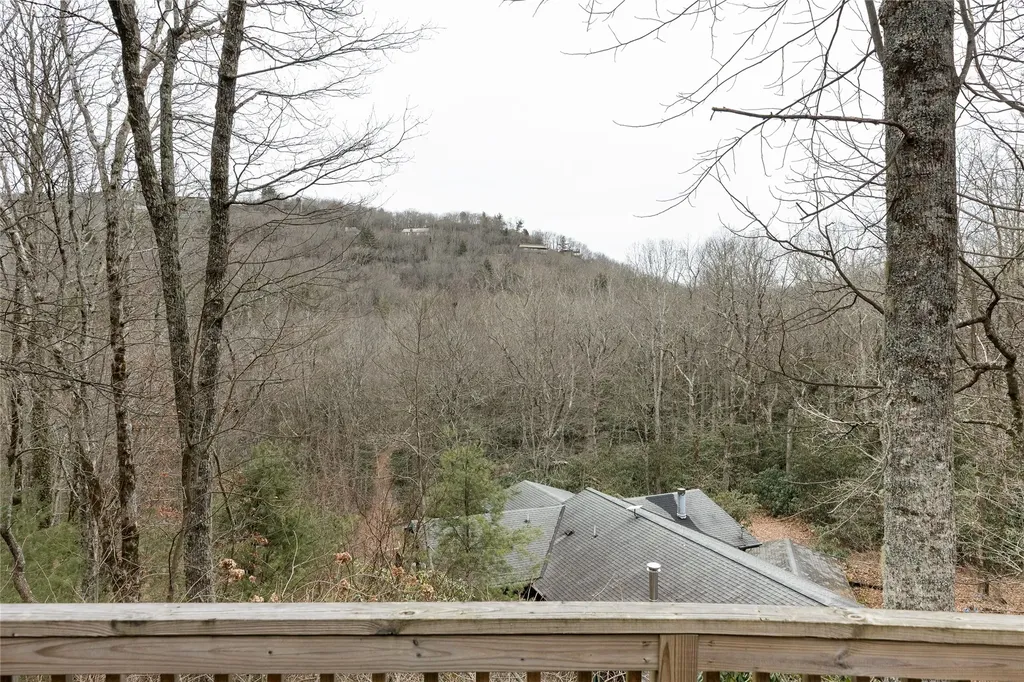 111 Wrights Road Scaly Mountain NC 28775