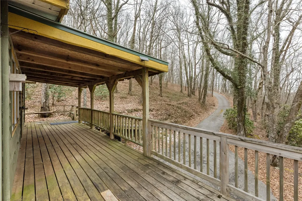 111 Wrights Road Scaly Mountain NC 28775