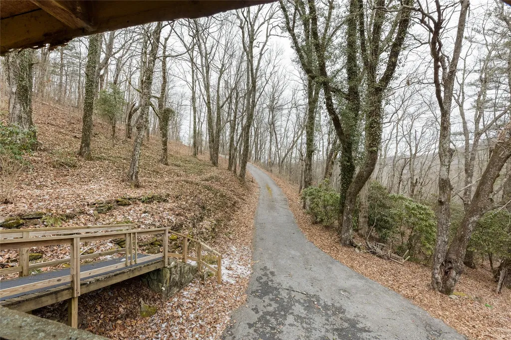 111 Wrights Road Scaly Mountain NC 28775