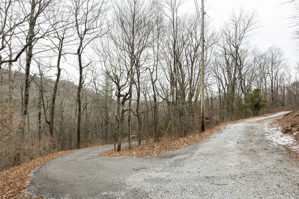 111 Wrights Road Scaly Mountain NC 28775