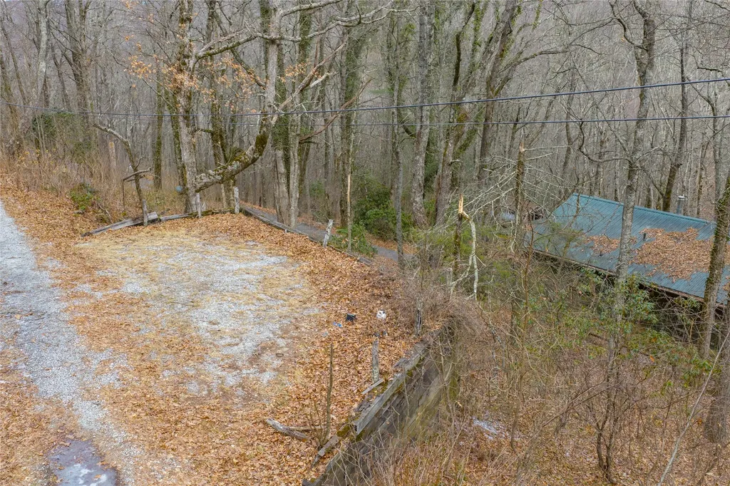 111 Wrights Road Scaly Mountain NC 28775