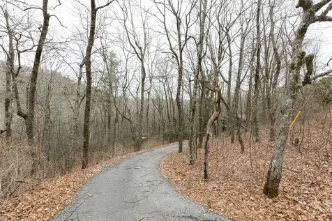 111 Wrights Road Scaly Mountain NC 28775