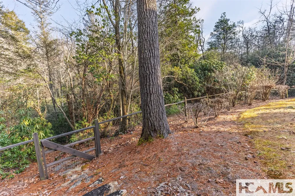 59 Wildberry Court Sapphire NC 28774