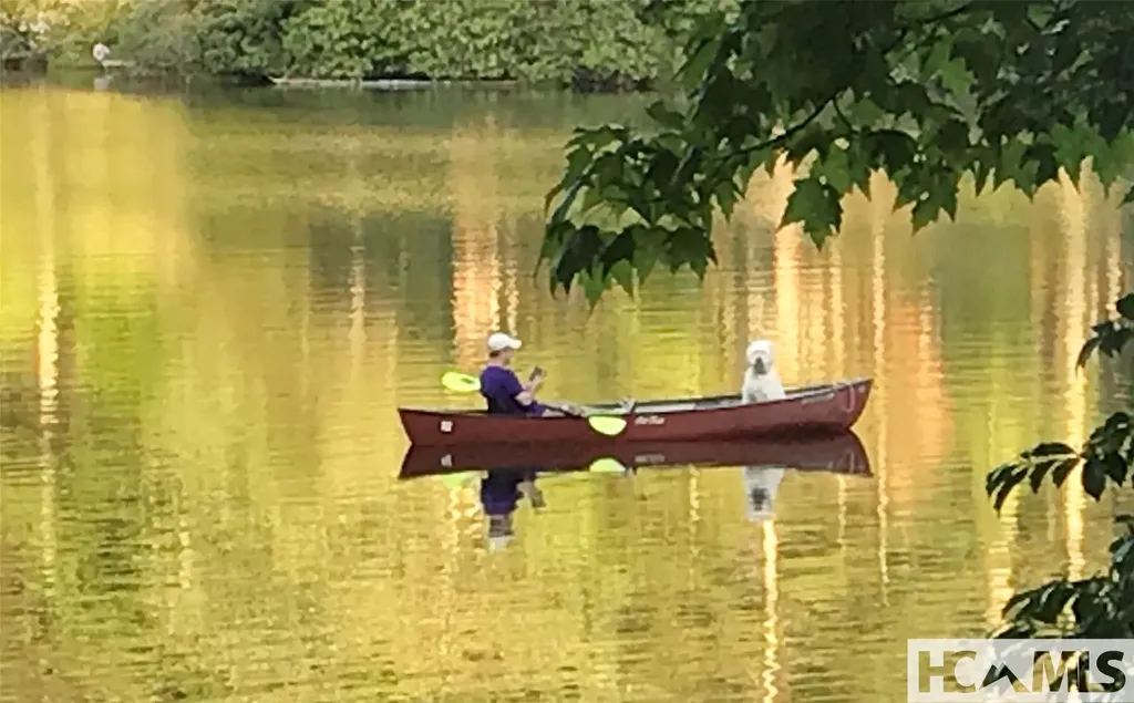 59 Wildberry Court Sapphire NC 28774