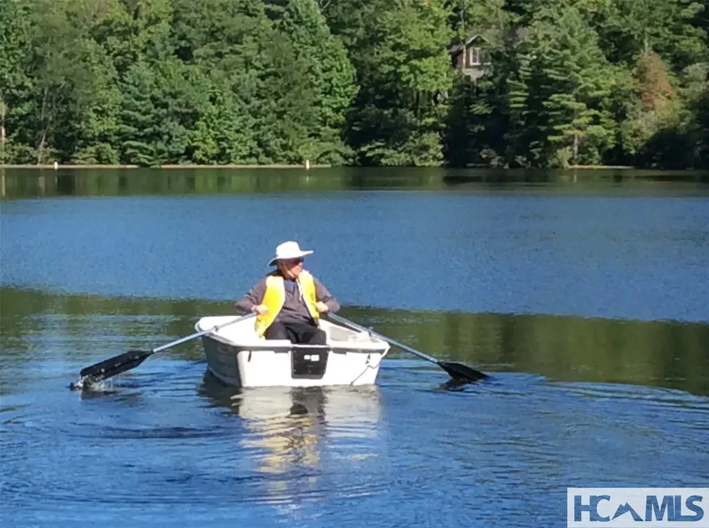 59 Wildberry Court Sapphire NC 28774