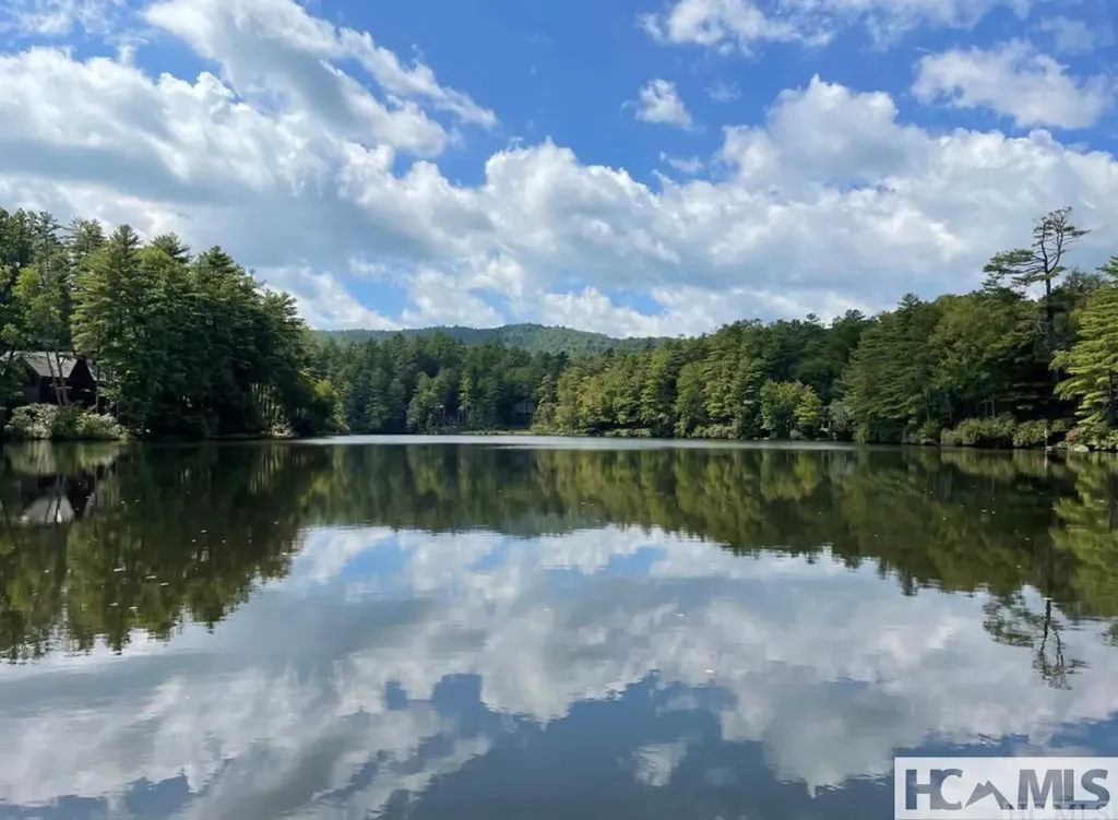 59 Wildberry Court Sapphire NC 28774