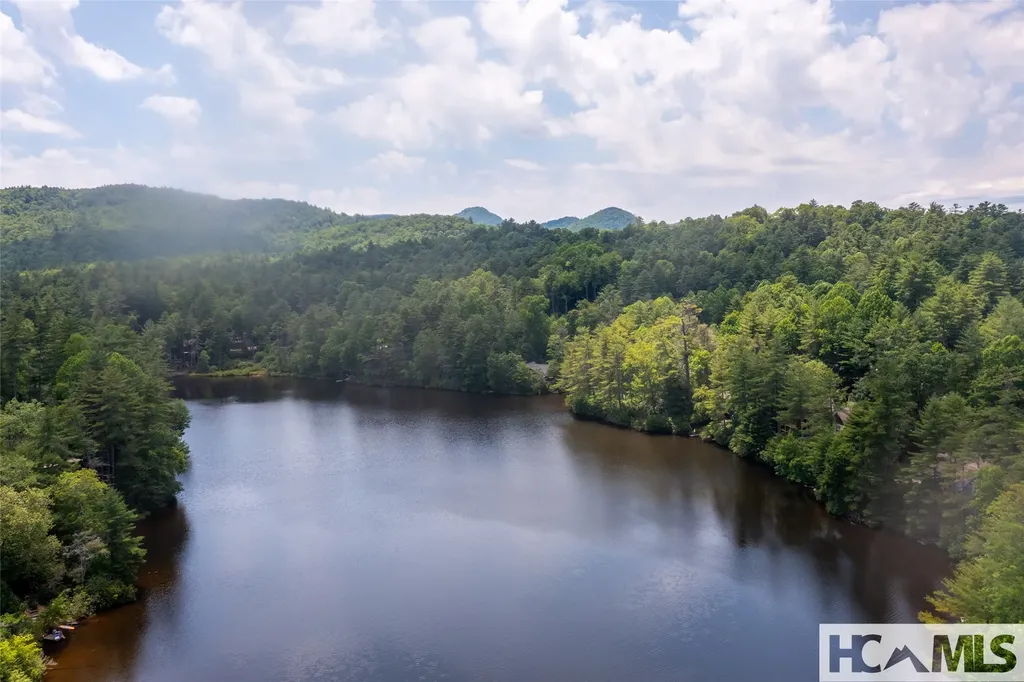 59 Wildberry Court Sapphire NC 28774