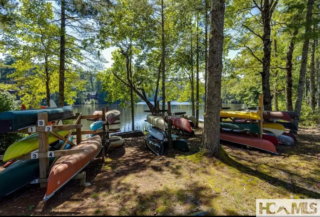 59 Wildberry Court Sapphire NC 28774