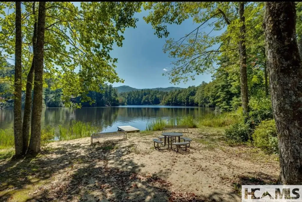 59 Wildberry Court Sapphire NC 28774