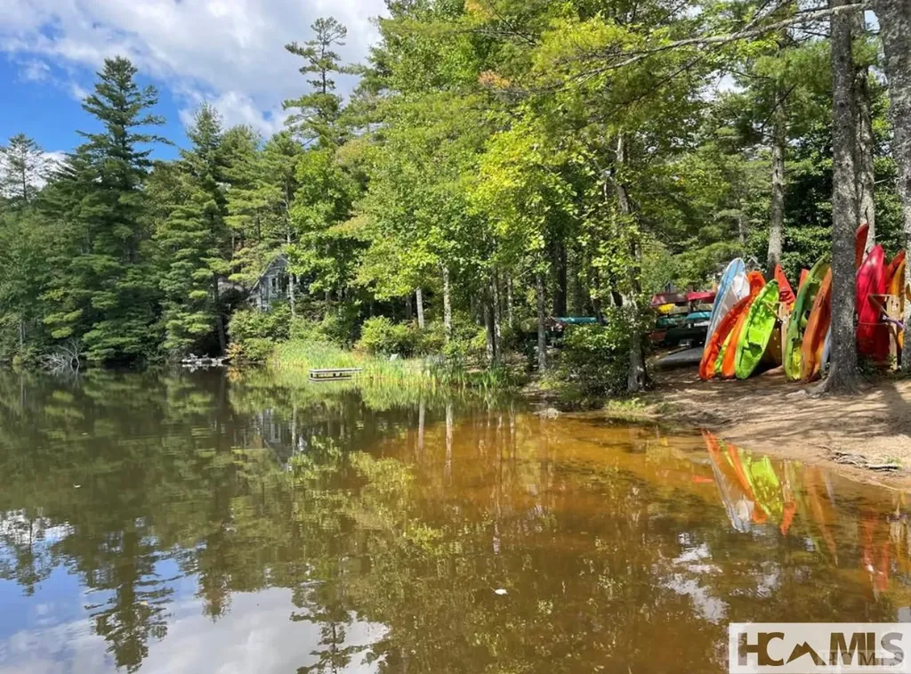 59 Wildberry Court Sapphire NC 28774