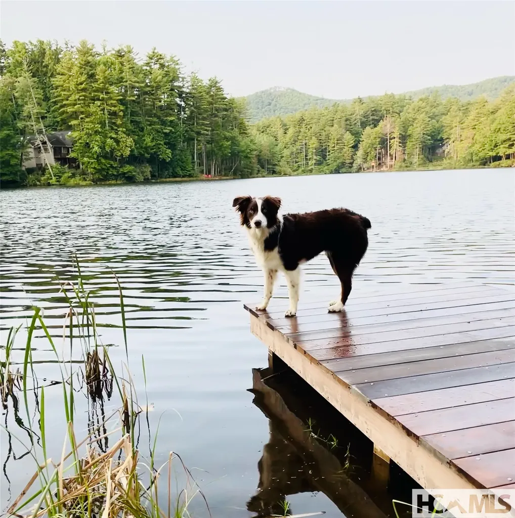 59 Wildberry Court Sapphire NC 28774