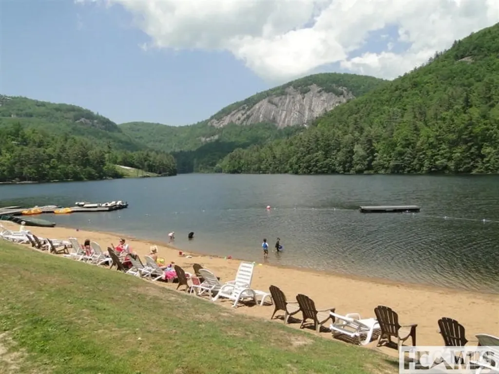 59 Wildberry Court Sapphire NC 28774