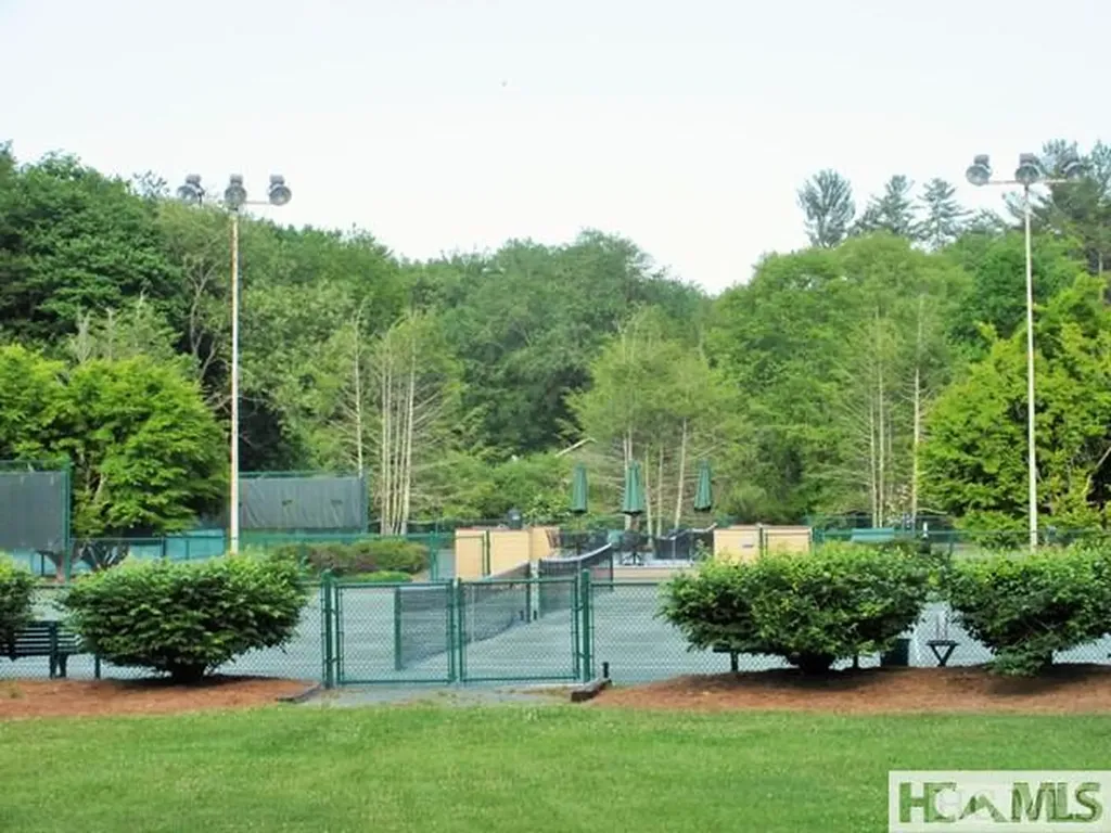 59 Wildberry Court Sapphire NC 28774