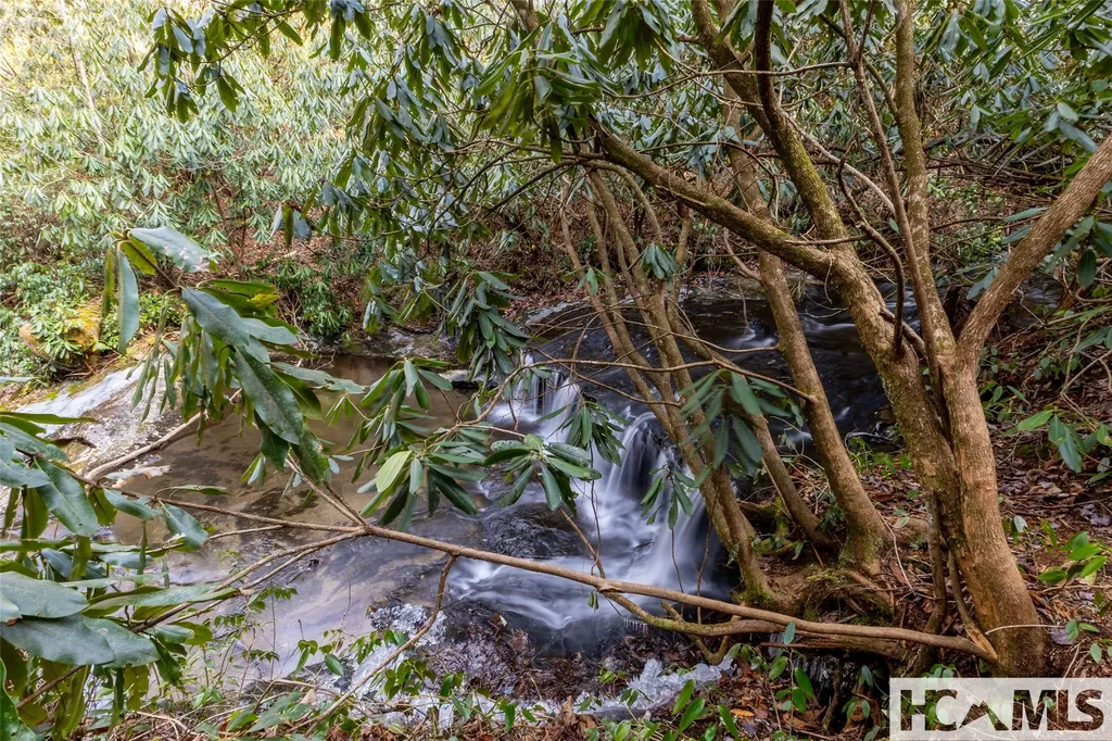 59 Wildberry Court Sapphire NC 28774