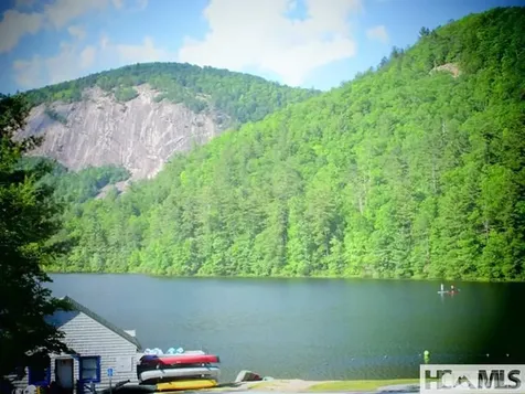 59 Wildberry Court Sapphire NC 28774