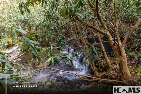 59 Wildberry Court Sapphire NC 28774