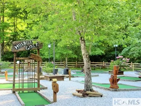 59 Wildberry Court Sapphire NC 28774
