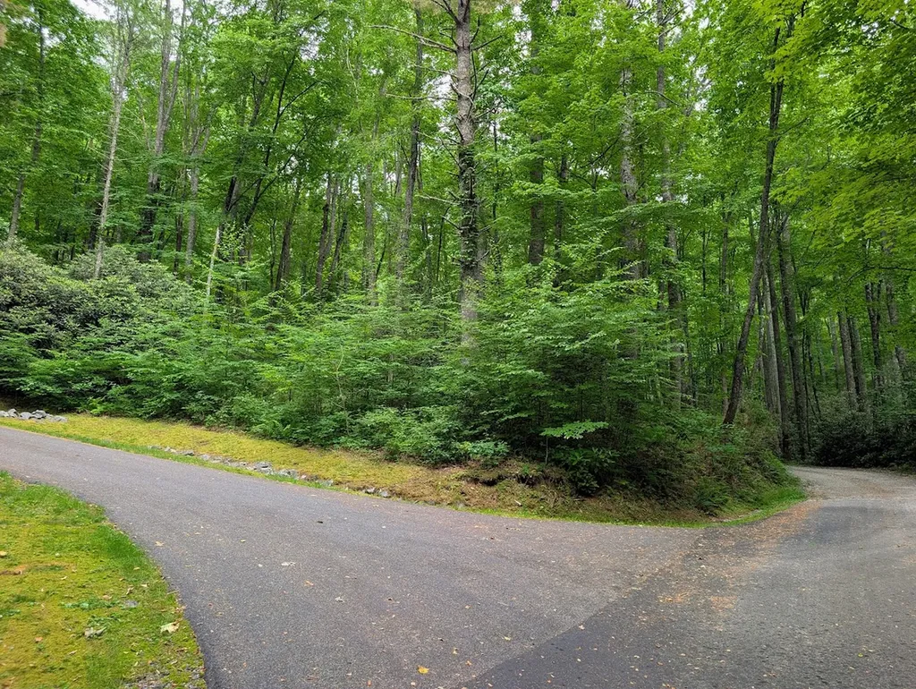 Lot 1 Upper Meadow Road Cullowhee NC 28723
