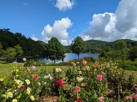 Lot 1 Upper Meadow Road Cullowhee NC 28723