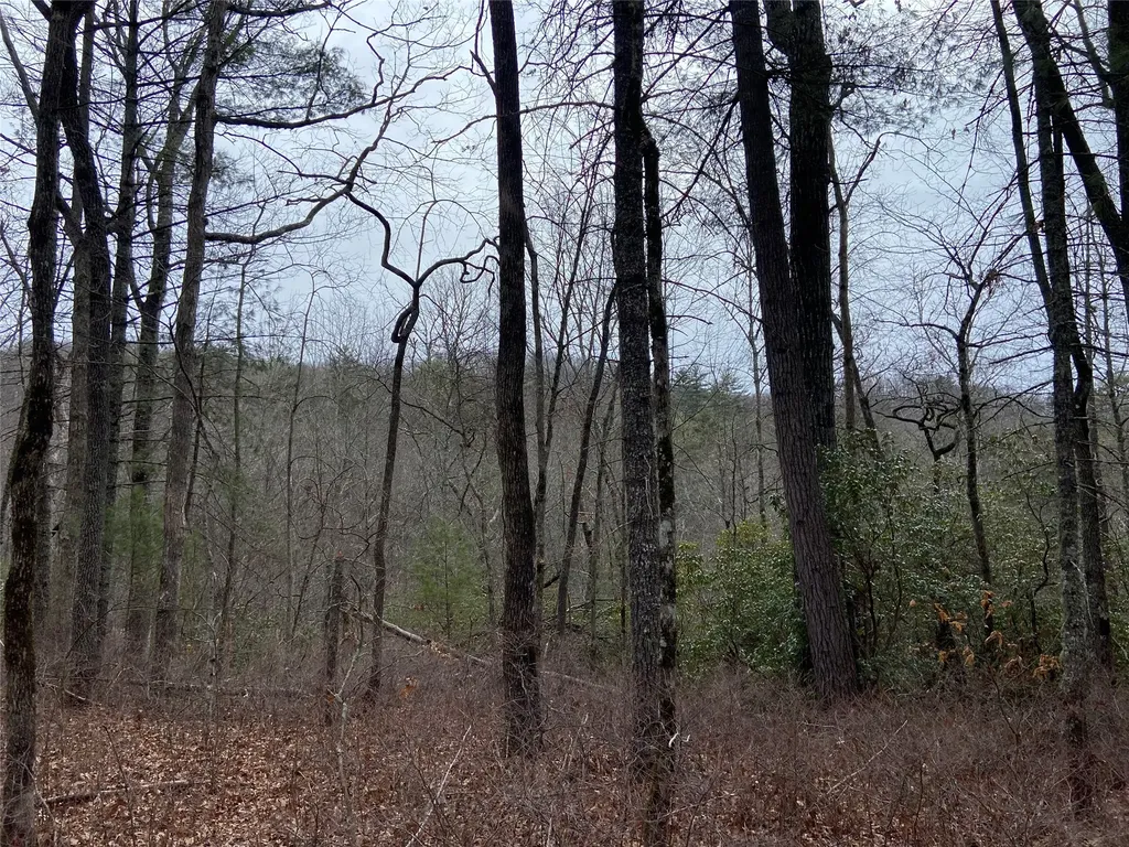 29 Tahala Trail Cullowhee NC 28723