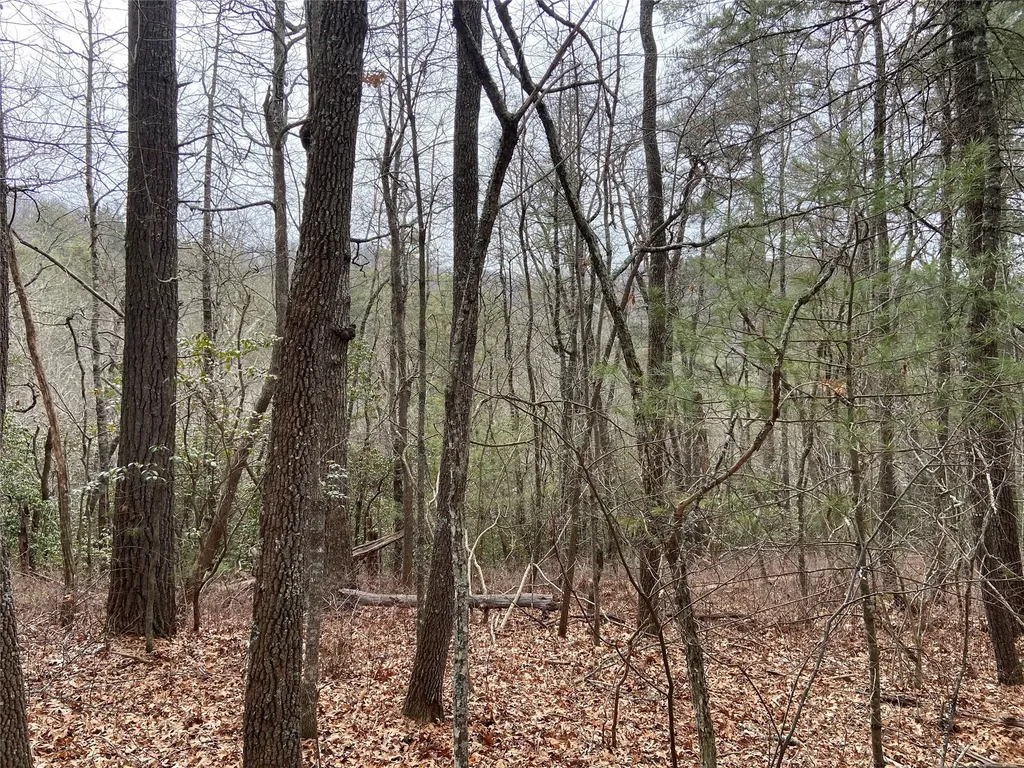 29 Tahala Trail Cullowhee NC 28723