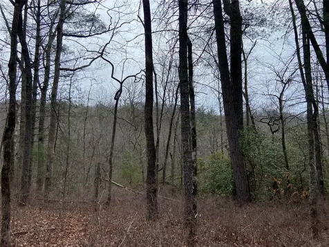 29 Tahala Trail Cullowhee NC 28723