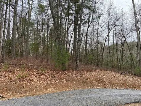 29 Tahala Trail Cullowhee NC 28723