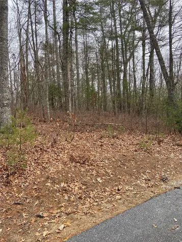 29 Tahala Trail Cullowhee NC 28723